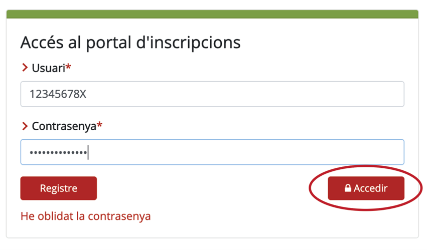 Imagen1