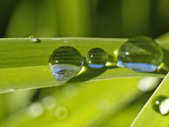 transparencia
